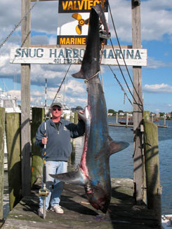 395 lb Thrasher Shark