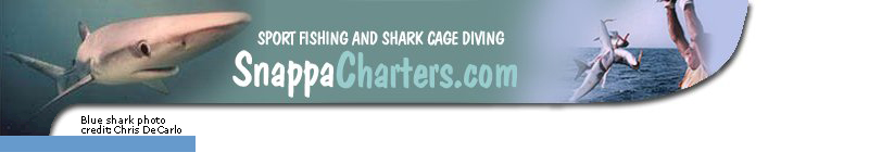 Header Graphic