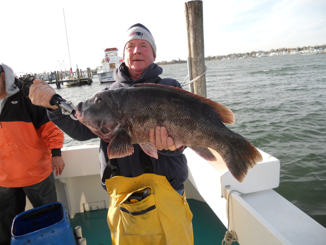 16lb Black Fish  - Fishing charters RI