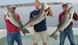 Striped Bass Fishing