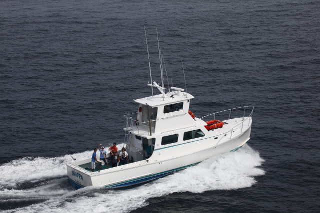 Sportfishing Rhode Island aboard Snappa