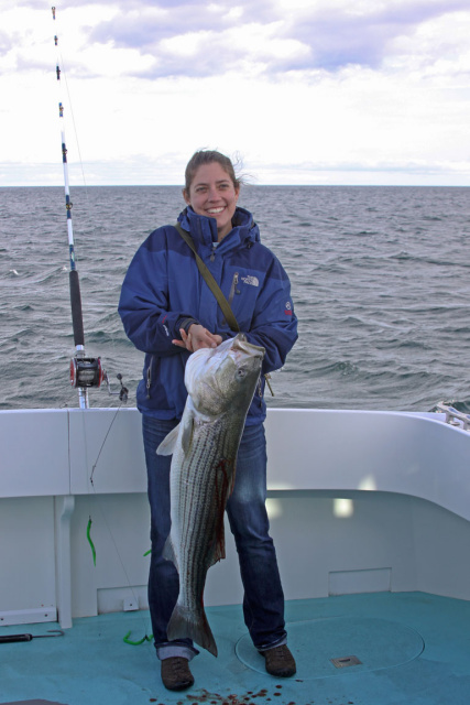 Block Island Striped Bass